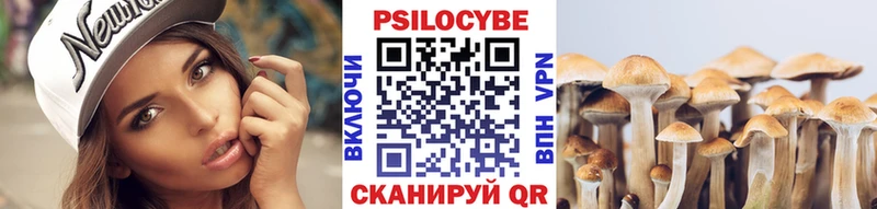 Галлюциногенные грибы мицелий  ссылка на мегу сайт  Томари 